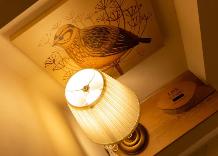 House Apartment Brasov